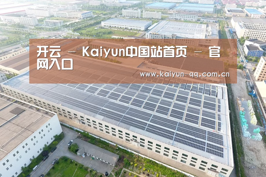 案例展示一