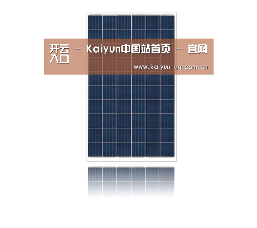 产品名称一