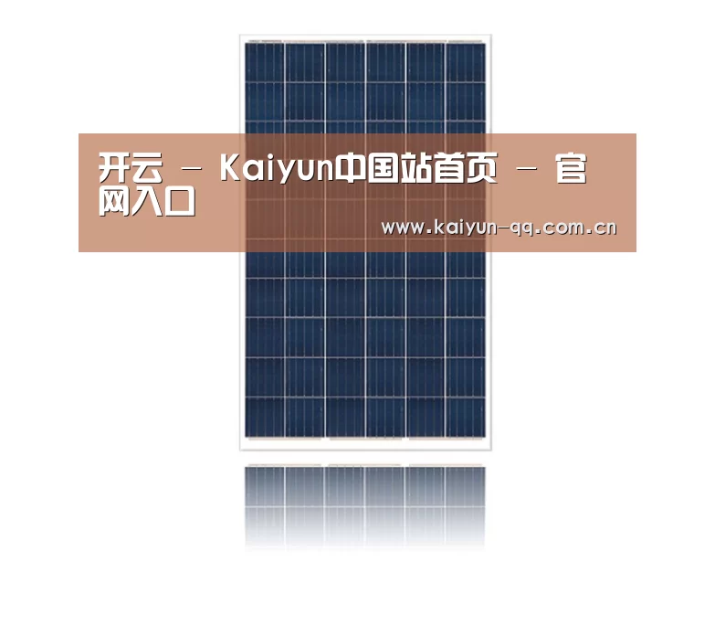 产品名称一