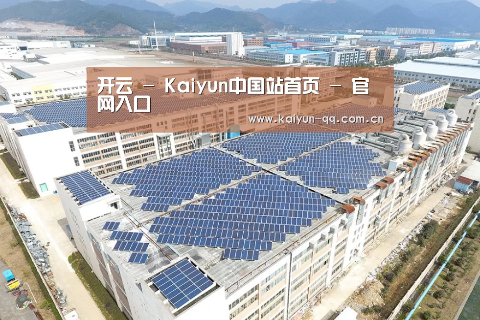 案例展示四