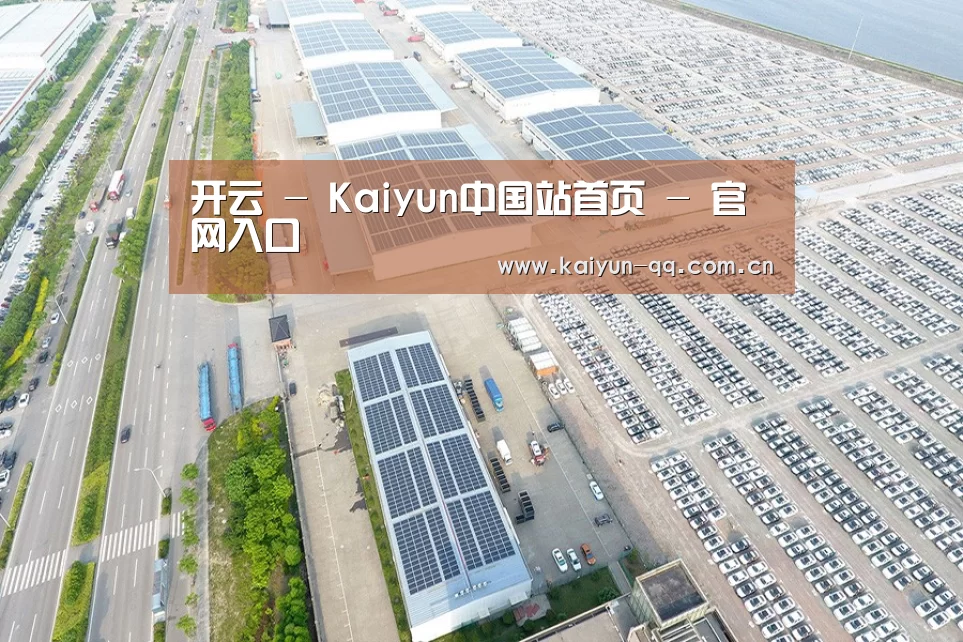 案例展示二