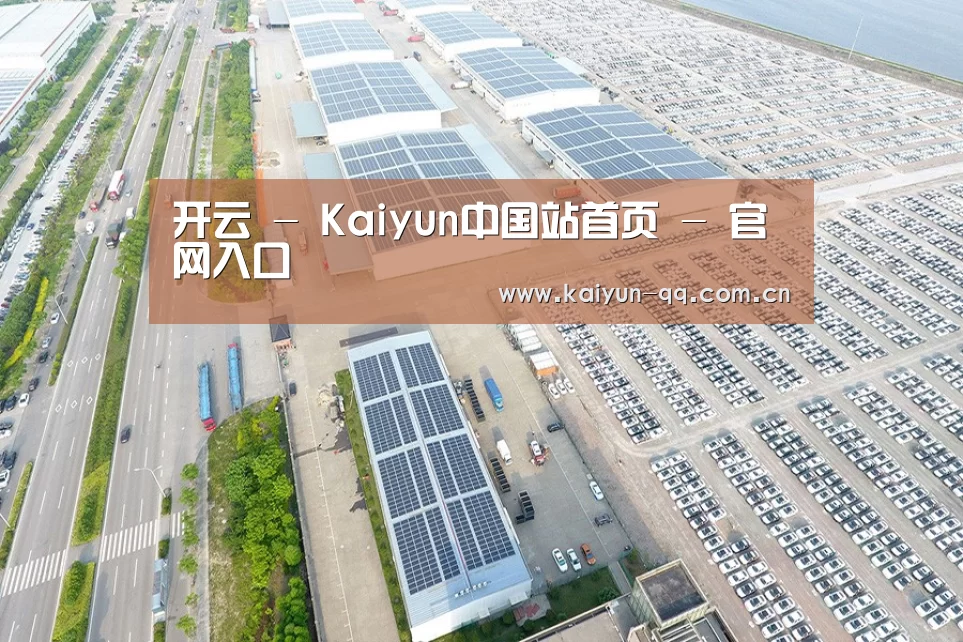 案例展示三