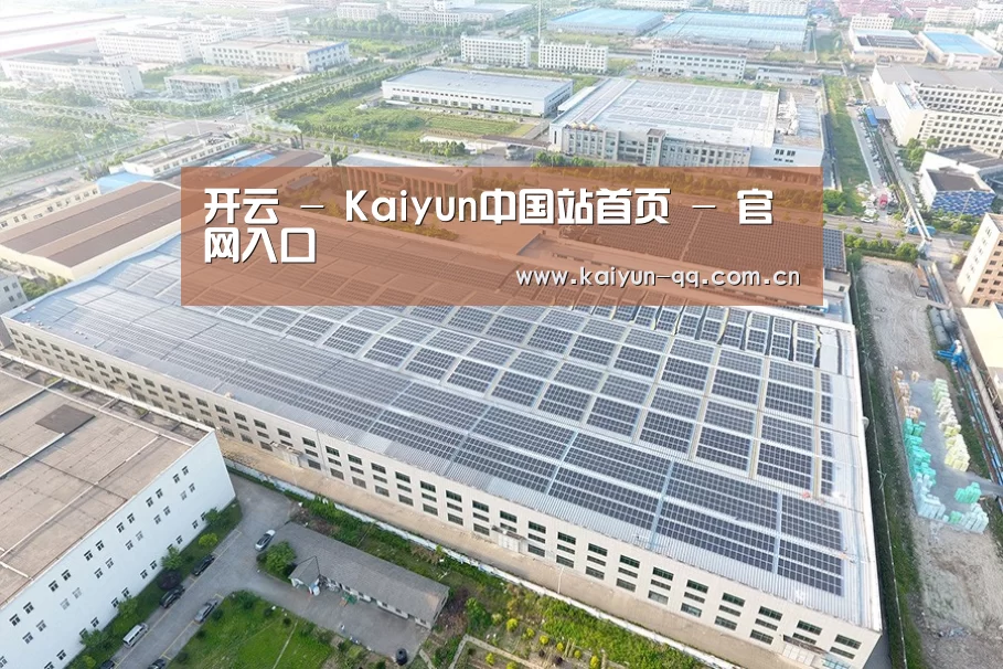 案例展示四