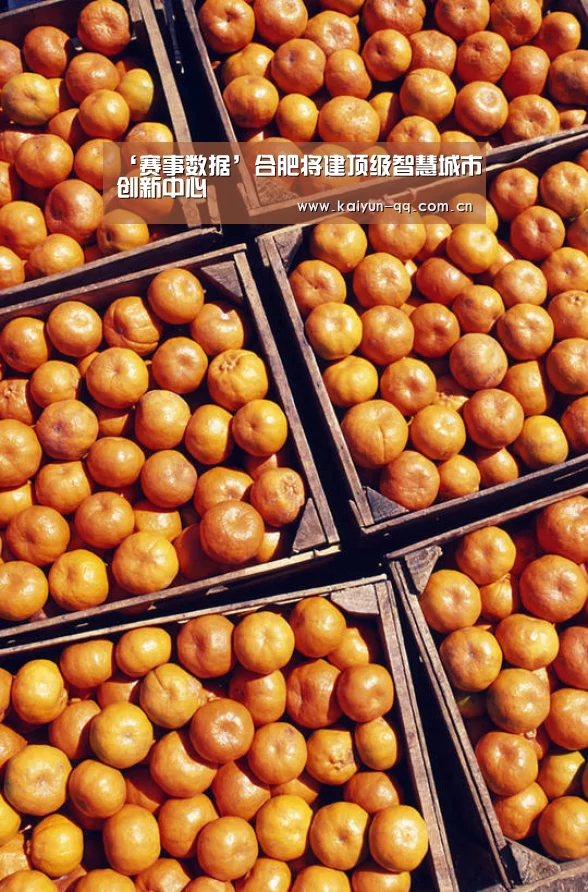 ‘赛事数据’合肥将建顶级智慧城市创新中心(图2) 开云官网